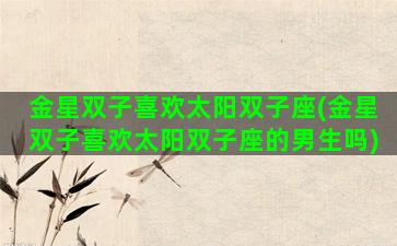 金星双子喜欢太阳双子座(金星双子喜欢太阳双子座的男生吗)