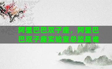 阿里巴巴双子座，阿里巴巴双子座实验室总监是谁