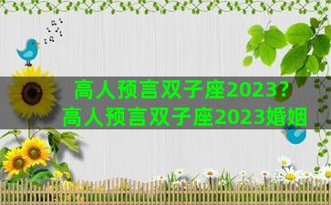 高人预言双子座2023？高人预言双子座2023婚姻