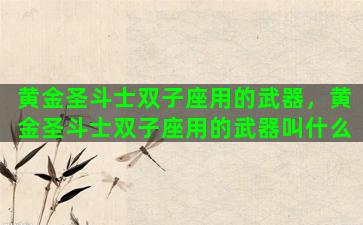 黄金圣斗士双子座用的武器，黄金圣斗士双子座用的武器叫什么